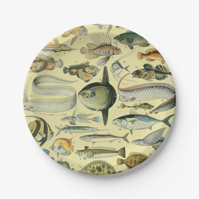 Vintage Fish Scientific Fishing Art Paper Plates (Front)