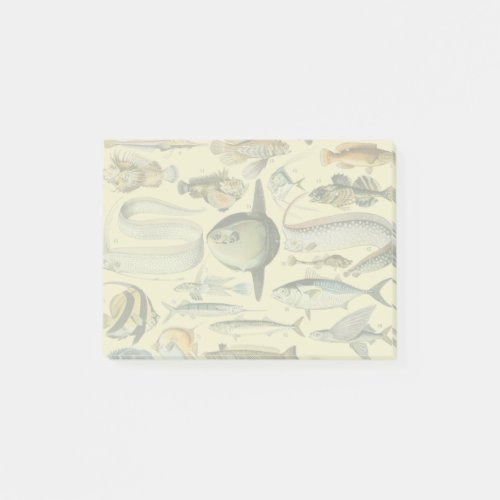 Vintage Fish Scientific Fishing Art Post_it Notes