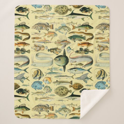 Vintage Fish Scientific Fishing Art Sherpa Blanket