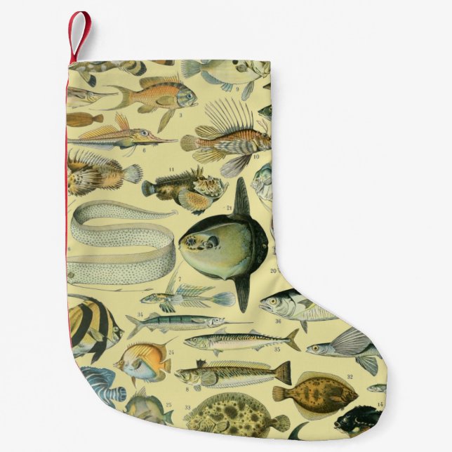 Vintage Fish Scientific Fishing Art Small Christmas Stocking (Front)