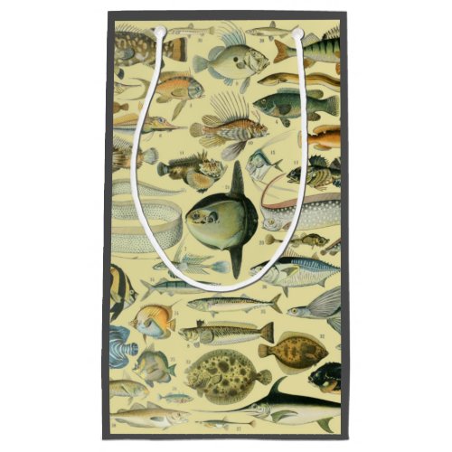 Vintage Fish Scientific Fishing Art Small Gift Bag