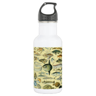 Vintage Fish Scientific Fishing Art Stainless Steel Water Bottle