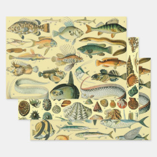 Vintage Fish Scientific Fishing Art Wrapping Paper Sheets