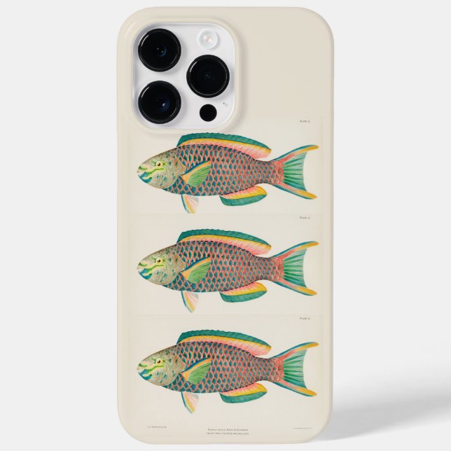 Vintage Fish Scientific Illustration  Case-Mate iPhone Case (Back)