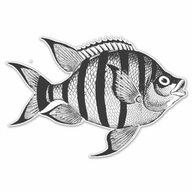  Vintage fish sealife ocean animals illustration Sticker (Front)