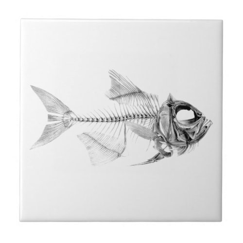 Vintage fish skeleton etching ceramic tile