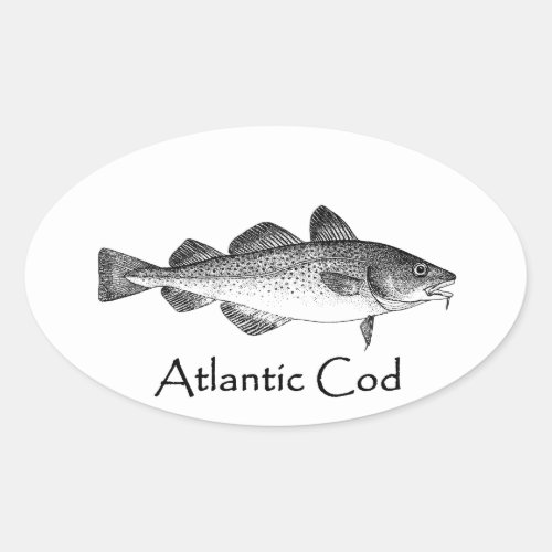 Vintage Fishing _ Atlantic Cod Oval Sticker