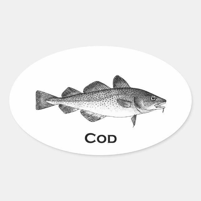 Vintage Fishing - Cod Oval Sticker (Front)