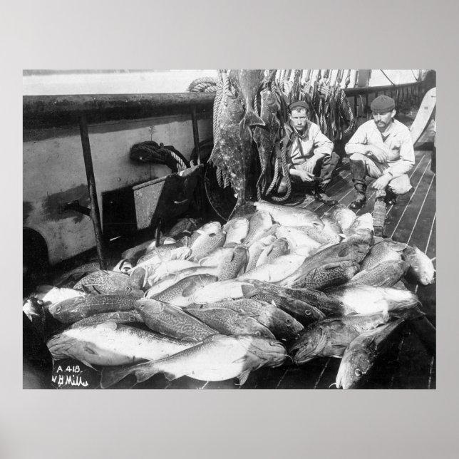 Vintage Fishing, early 1900s Poster (Front)