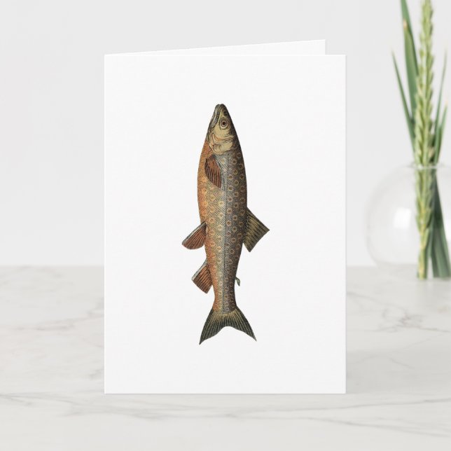Vintage Fishing Fathers Day Card (Front)