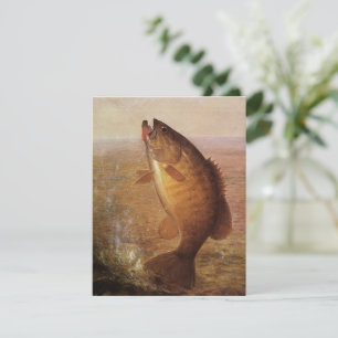 Vintage Fishing, Leaping Smallmouth Bass on Line