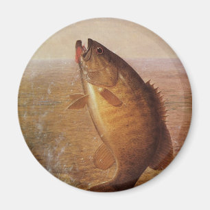 Vintage Fishing, Leaping Smallmouth Bass on Line Magnet
