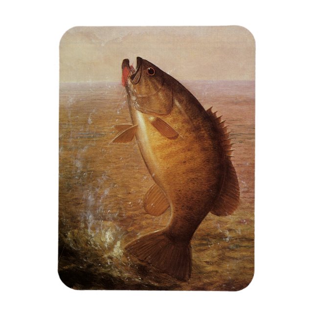 Vintage Fishing, Leaping Smallmouth Bass on Line Magnet (Vertical)