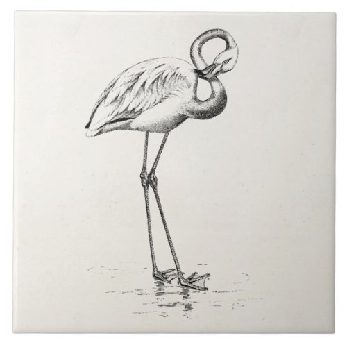 Vintage Flamingo Bird Antique Bird Template Tile