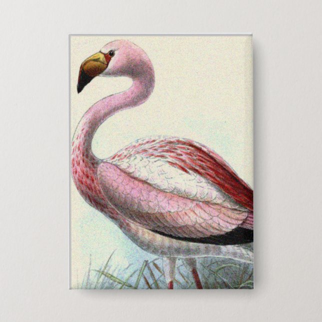 Vintage Flamingo Button (Front)