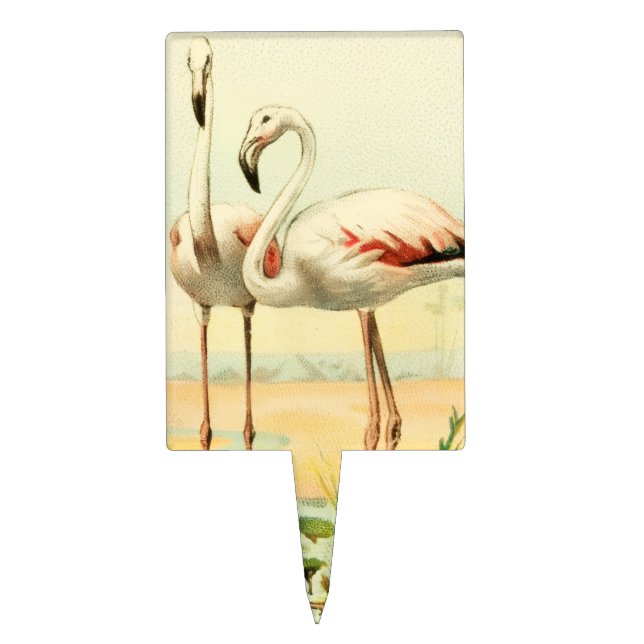Vintage Flamingo Cake Topper (Front)