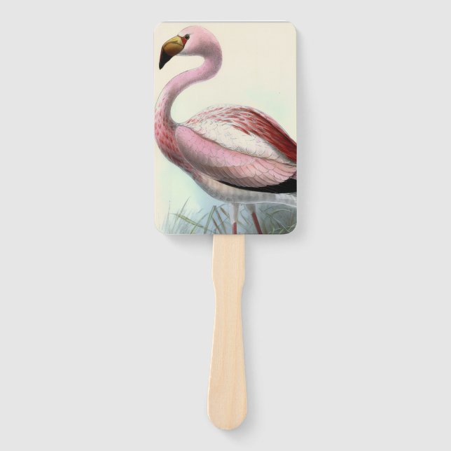 Vintage Flamingo Hand Fan (Front)