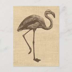 Vintage Flamingo Illustration on Burlap Postcard