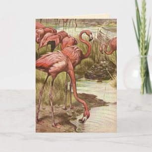 Vintage Flamingo Mother's Day Card