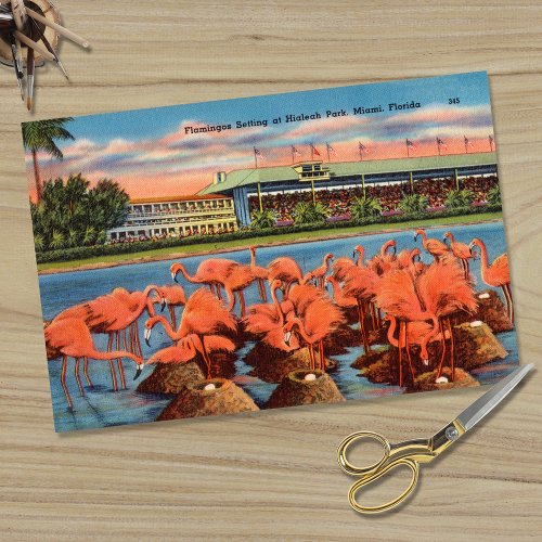 Vintage Flamingo Nest Setting in Miami FL Tissue Paper