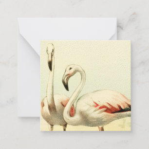 Vintage Flamingo Note Card