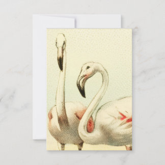 Vintage Flamingo Note Card