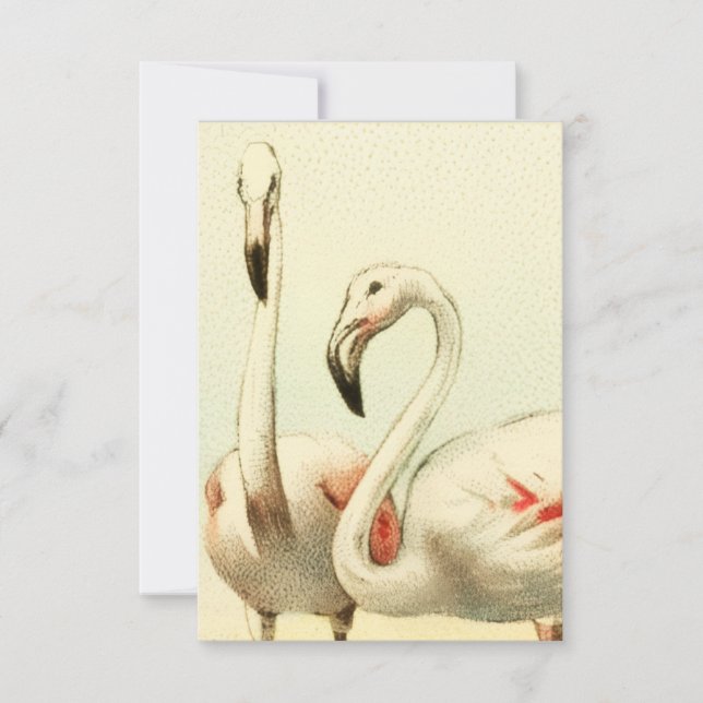 Vintage Flamingo Note Card (Front)