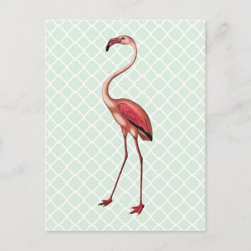 Vintage Flamingo on Mint Quatrefoil Postcard