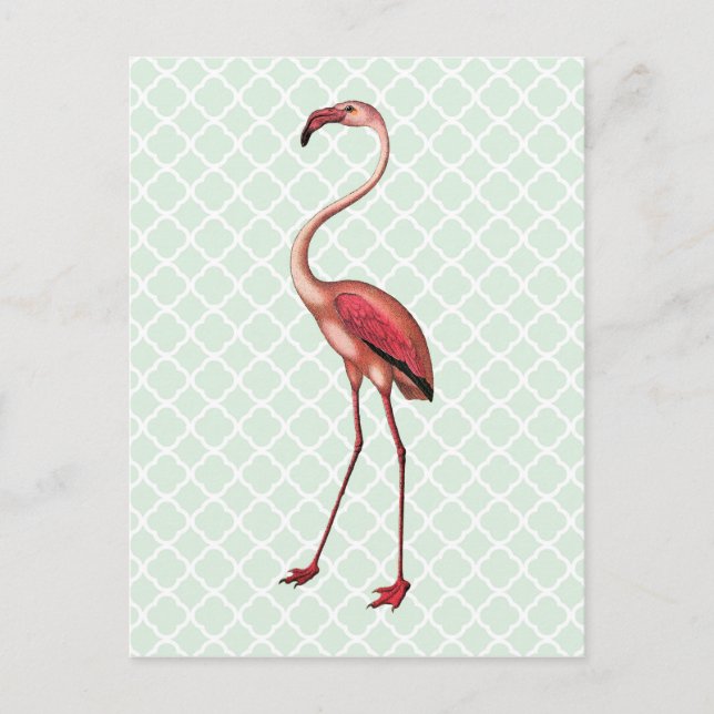 Vintage Flamingo on Mint Quatrefoil Postcard (Front)