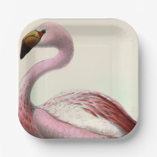 Vintage Flamingo Paper Plates (Front)
