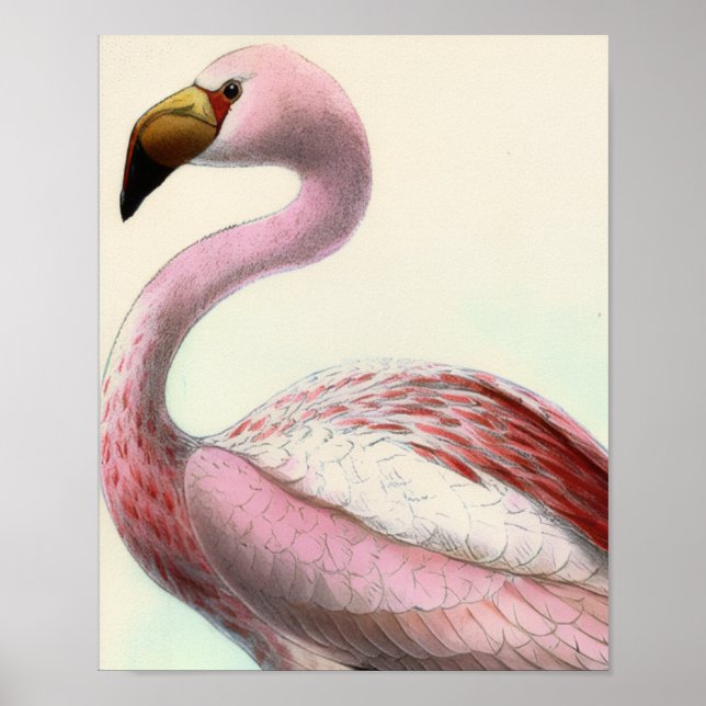 Vintage Flamingo Poster (Front)