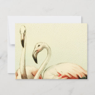 Vintage Flamingo Thank You Card