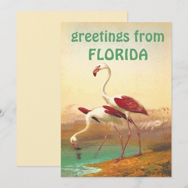 Vintage Flamingos Greetings From Florida Travel  Card (Front/Back)