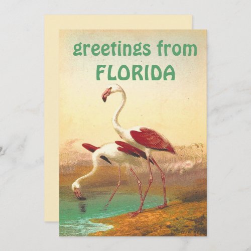 Vintage Flamingos Greetings From Florida Travel  Card