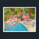 Vintage Flamingos in Florida Travel Postcard<br><div class="desc">Vintage Flamingos in Florida Travel Postcard</div>