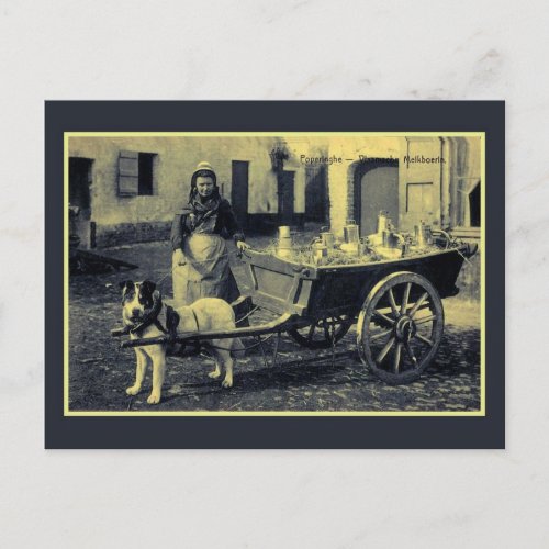 vintage Flemish milkmaid dog cart Postcard