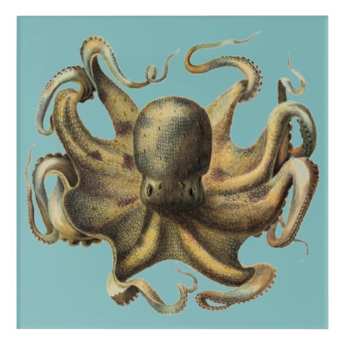 Vintage Floating Octopus Wall Art