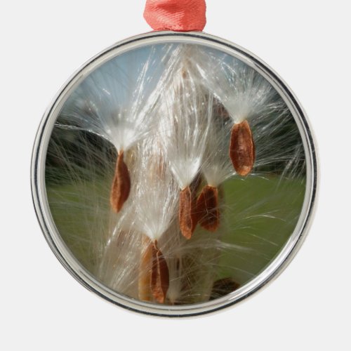 Vintage Flora and Fauna Milkweeds Floatingjpg Metal Ornament