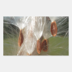 Vintage Flora and Fauna Milkweeds Floating.jpg Rectangular Sticker