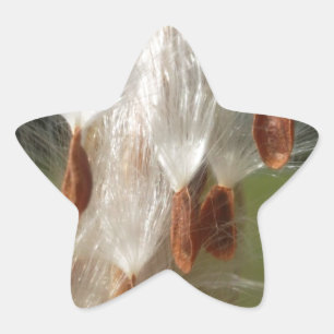 Vintage Flora and Fauna Milkweeds Floating.jpg Star Sticker