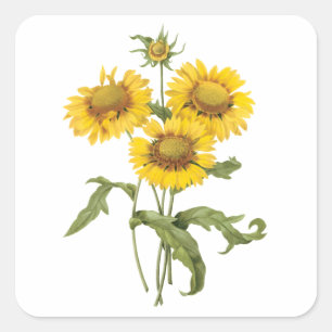 Vintage Floral Blanket Flower Sunflower by Redoute Square Sticker