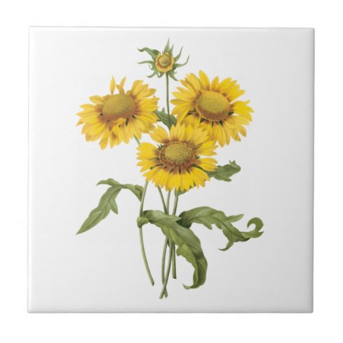 Vintage Floral Blanket Flower Sunflower by Redoute Tile