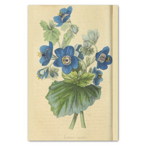 Vintage Floral Blue Flowers Ephemera Decoupage  Ti Tissue Paper