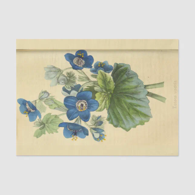 Vintage Floral Blue Flowers Ephemera Decoupage Ti Tissue Paper | Zazzle