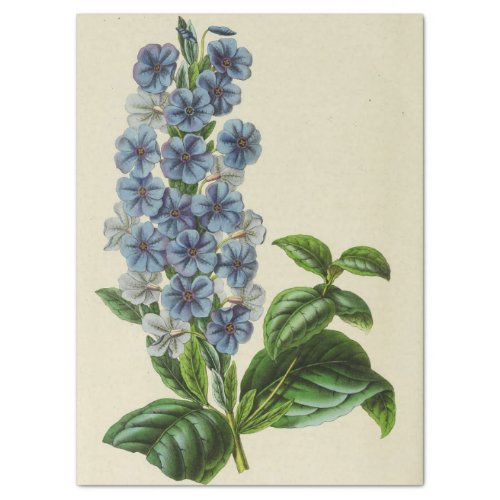 Vintage Floral Blue Flowers Ephemera Decoupage Tis Tissue Paper