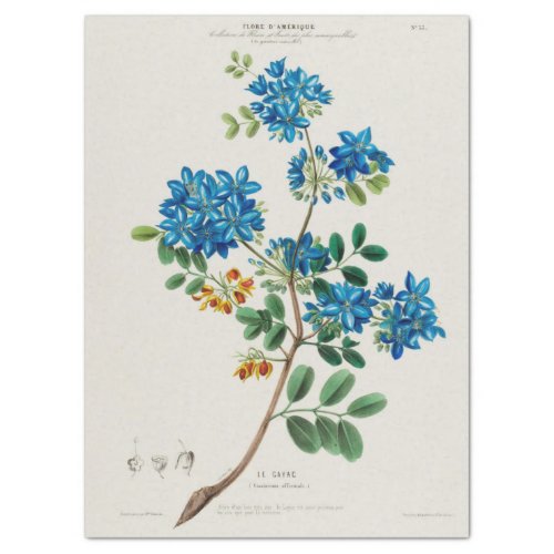 Vintage Floral Blue Flowers Ephemera Decoupage Tissue Paper