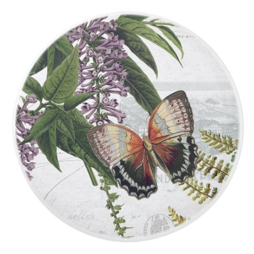 Vintage Floral Botanical Butterfly Cottage White 1 Ceramic Knob