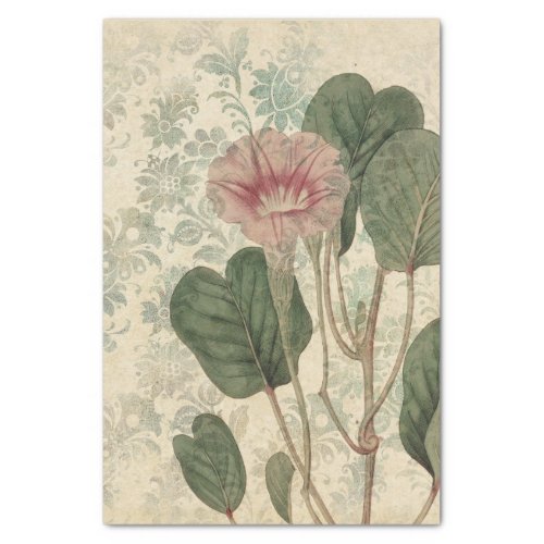 Vintage Floral Botanical Tissue Paper