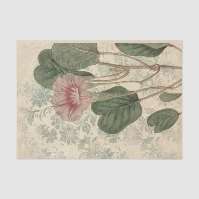 Vintage Floral Botanical Tissue Paper (Front)