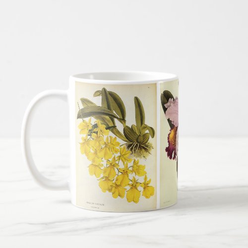 Vintage Floral Botany Tropical Orchid Flowers Coffee Mug